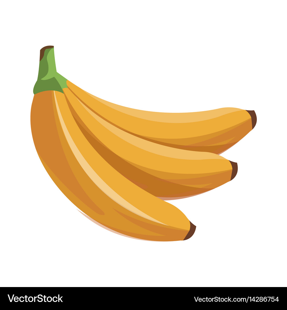 Banana fruit tropical food Royalty Free Vector Image