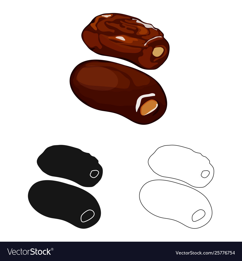 Design dates and palm icon collection