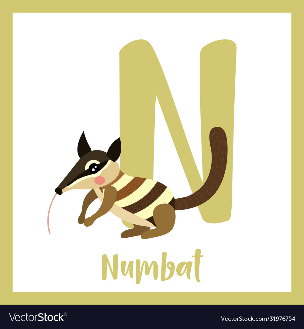 Letter n vocabulary numbat Royalty Free Vector Image