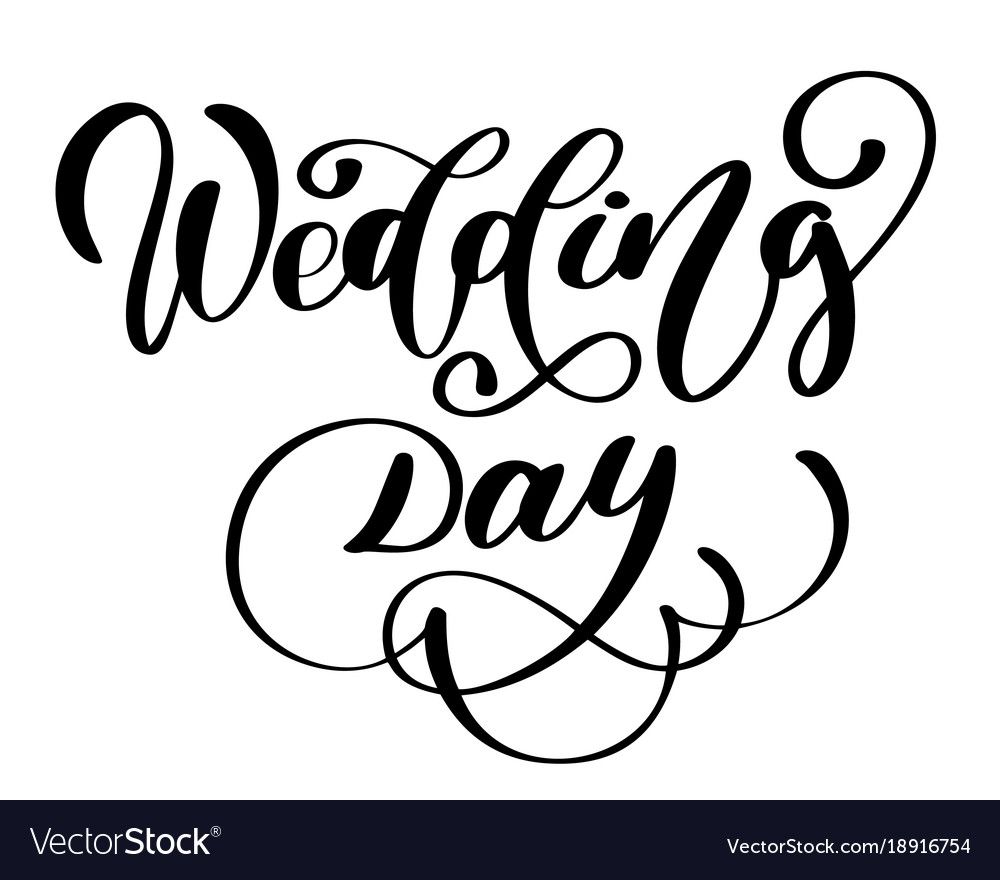 Wedding day text on white background Royalty Free Vector