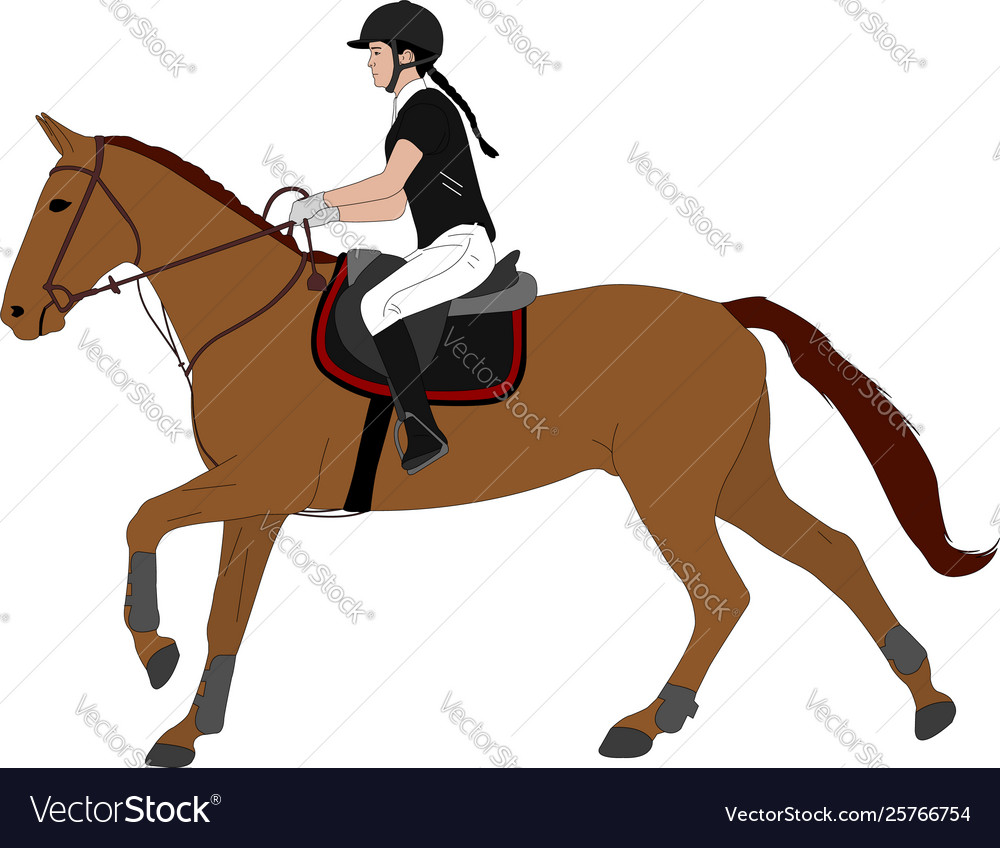 Young woman riding horsecolor equestrian sport Vector Image