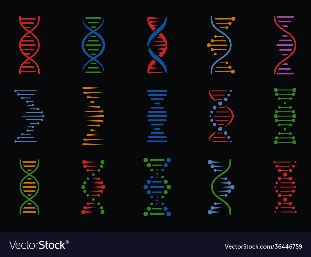 Dna signs human chromosome genetic spiral Vector Image