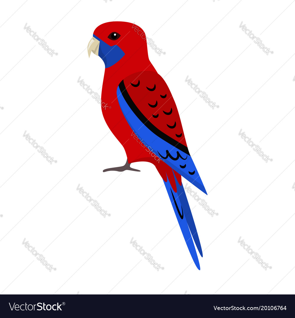 Rosella parrot icon in flat style