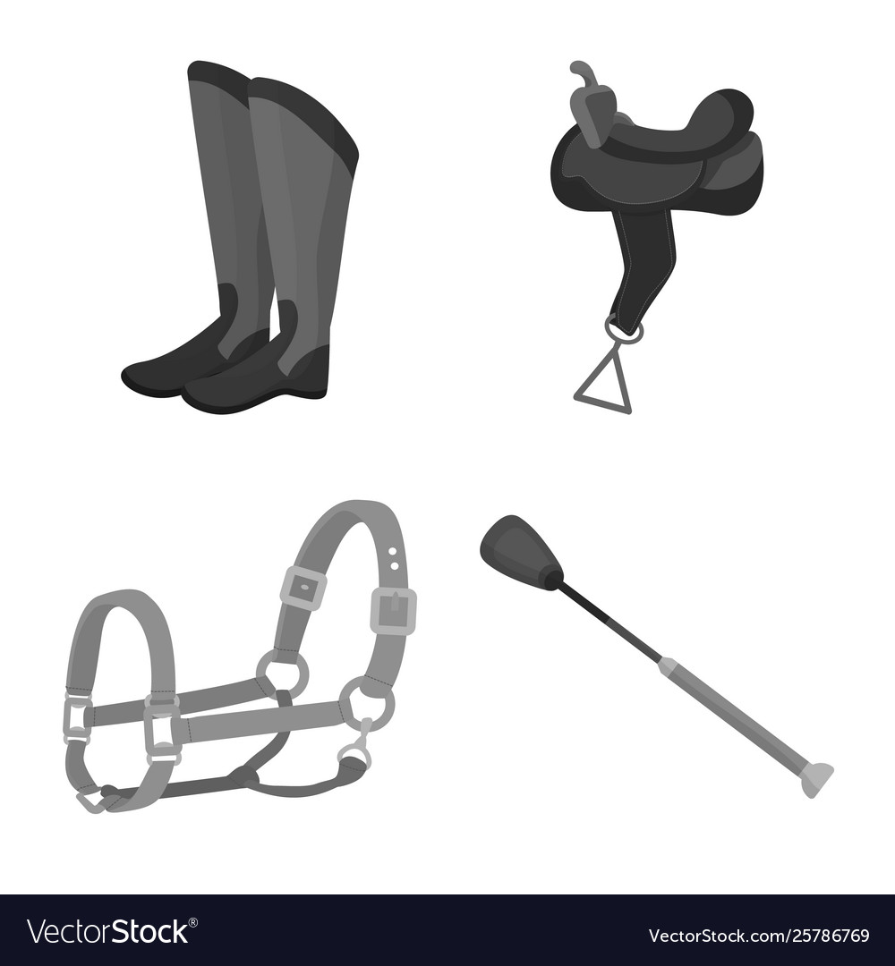 Isolated object race and horse icon collection vector image Isolated object race and horse icon collection