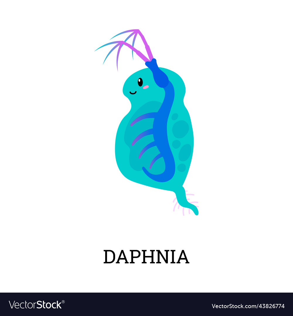 Daphnia underwater world tiny microorganism Vector Image