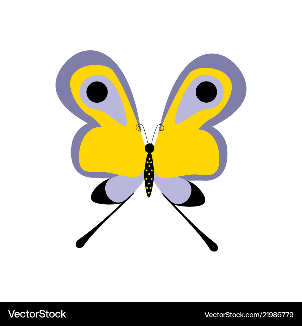 Butterfly insect Royalty Free Vector Image - VectorStock