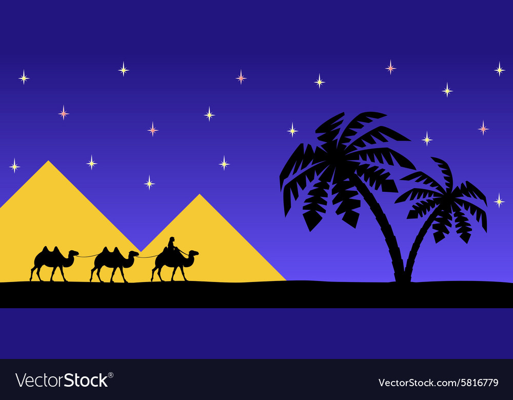 Man on the camel pyramids