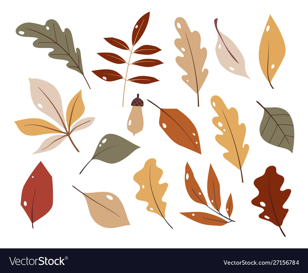 Forest leaf hand drawn set colorful vector image Forest leaf hand drawn set colorful