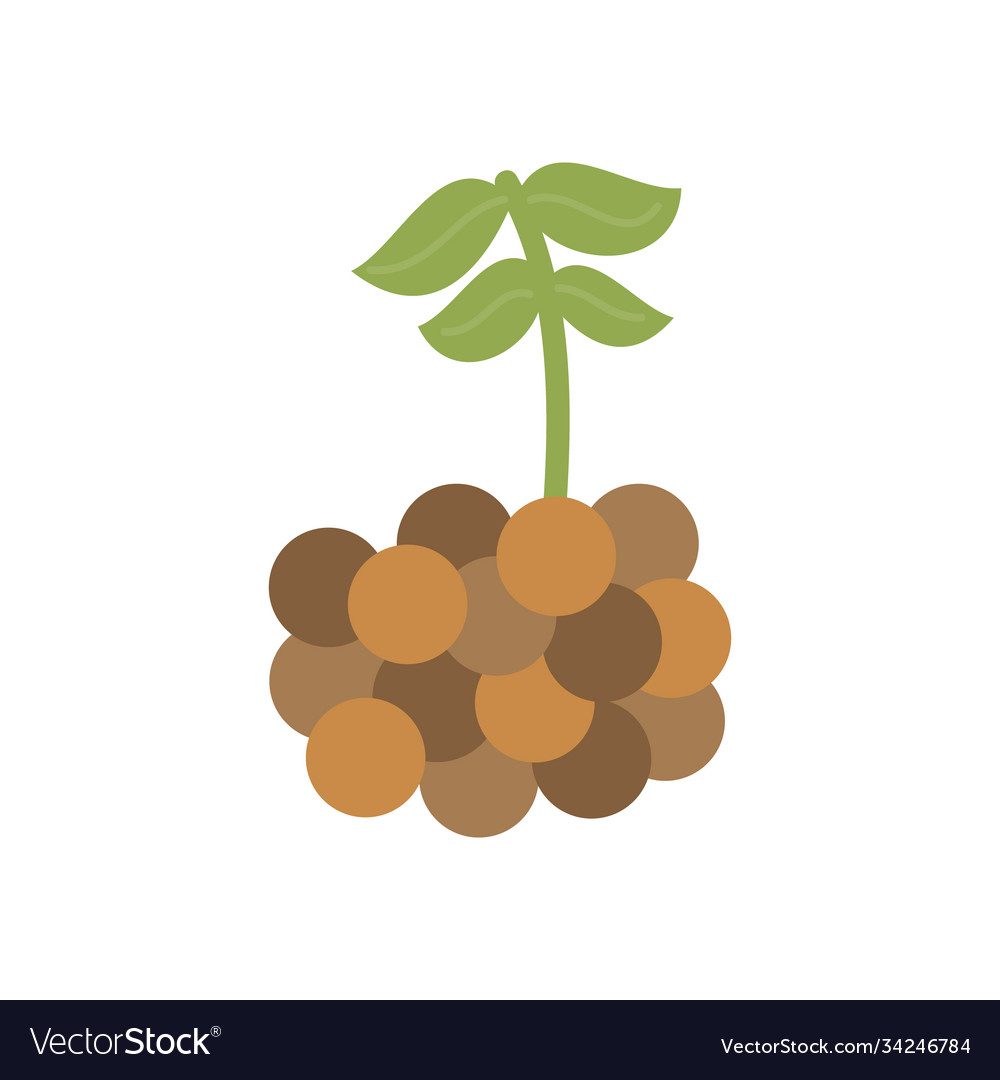 Lentil icon vector image Lentil icon