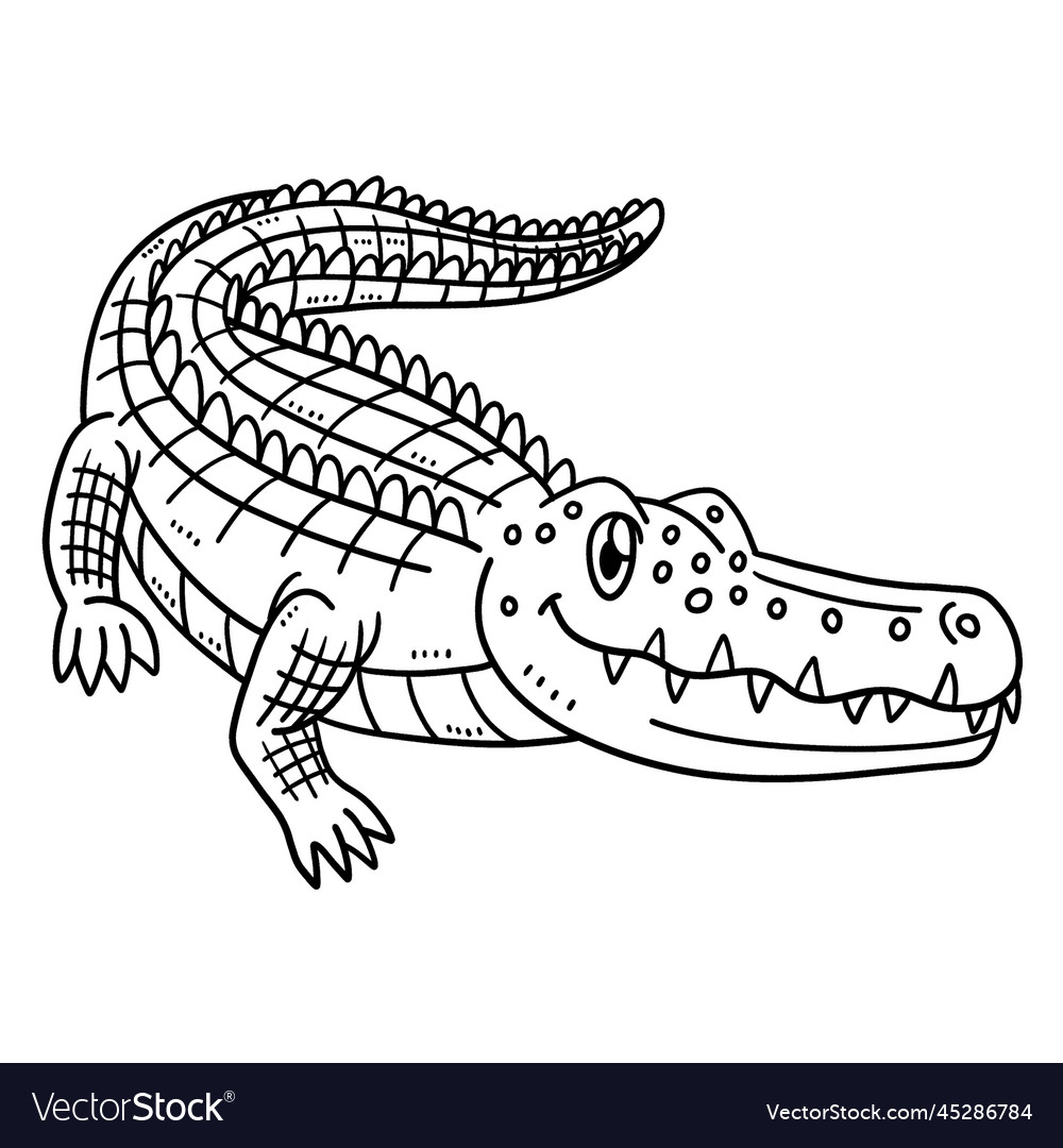 Mother crocodile isolated coloring page for kids Vector Image