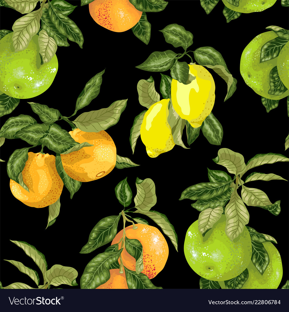 Seamless pattern in realistic with pomelo orange vector image Seamless pattern in realistic with pomelo orange