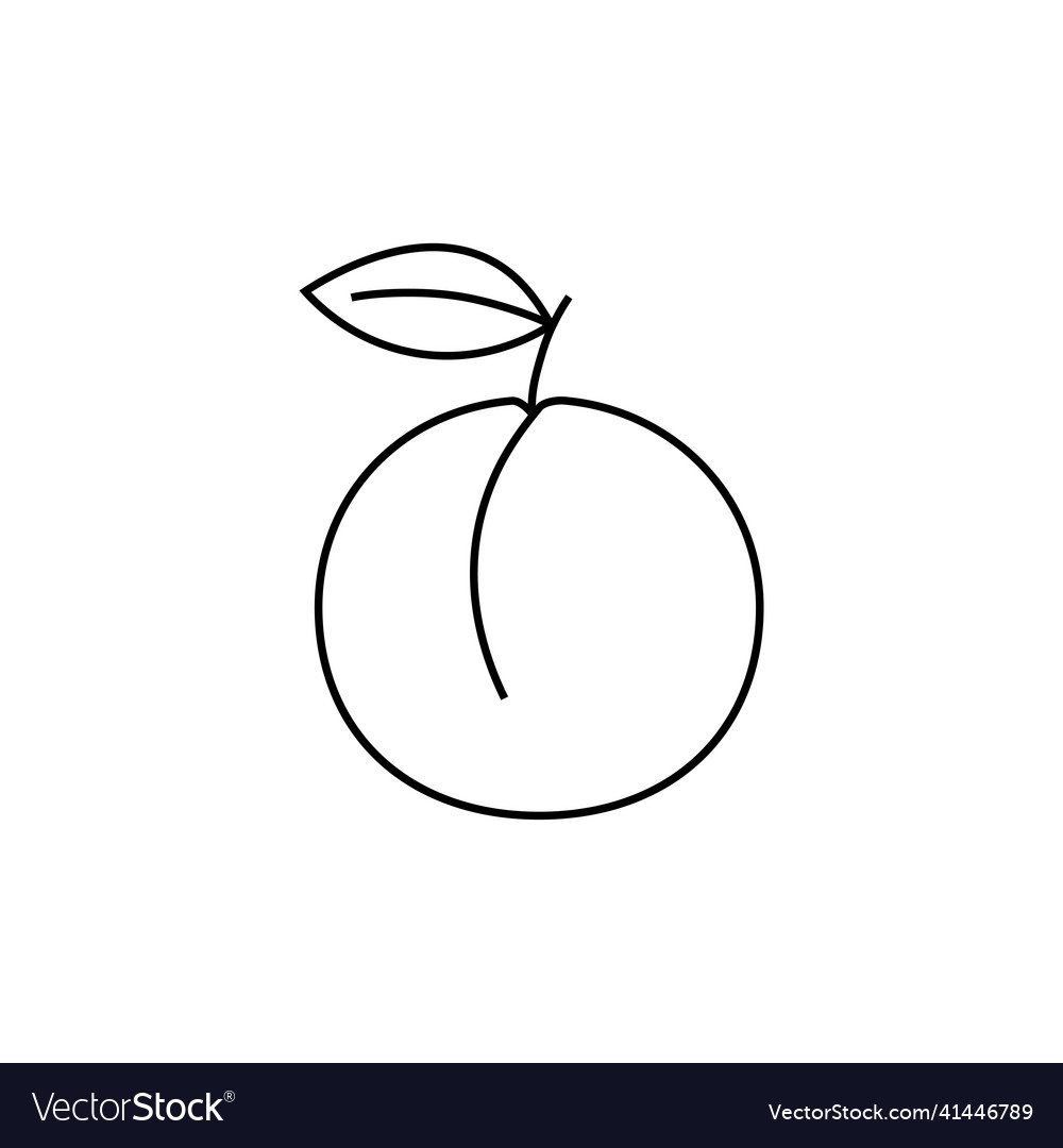Apricot icon linear symbol design from vector image Apricot icon linear symbol design from
