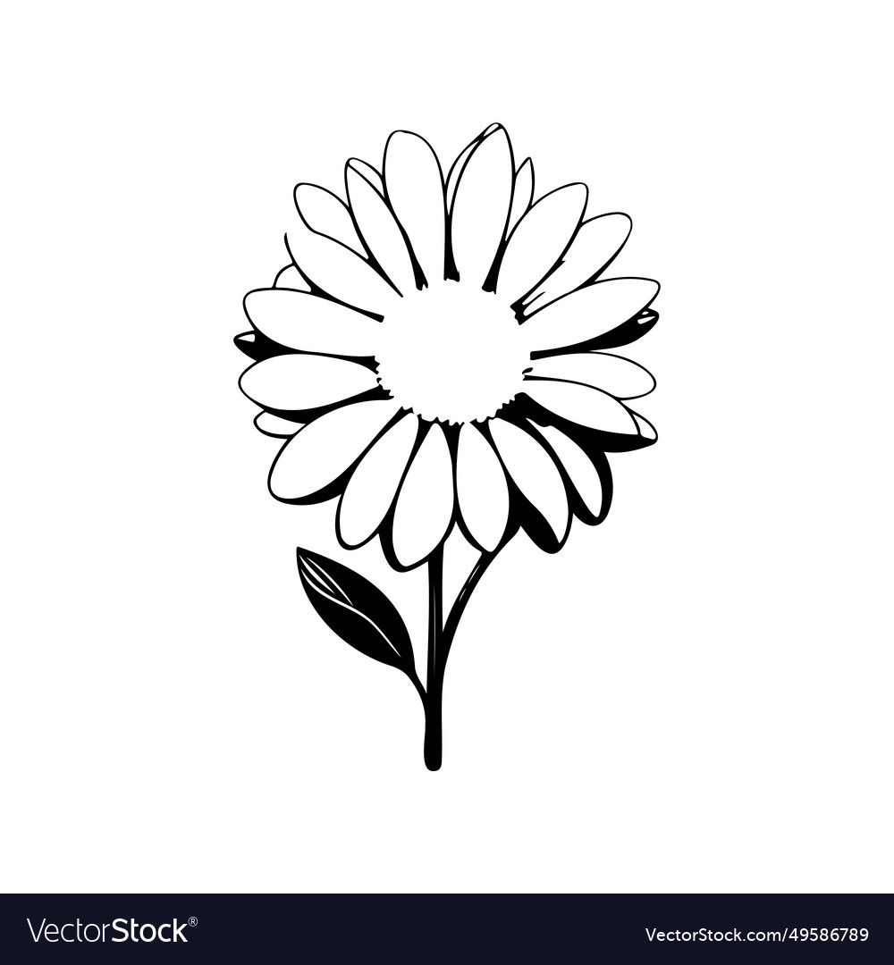 Daisy icon hand draw black colour flowers logo Vector Image