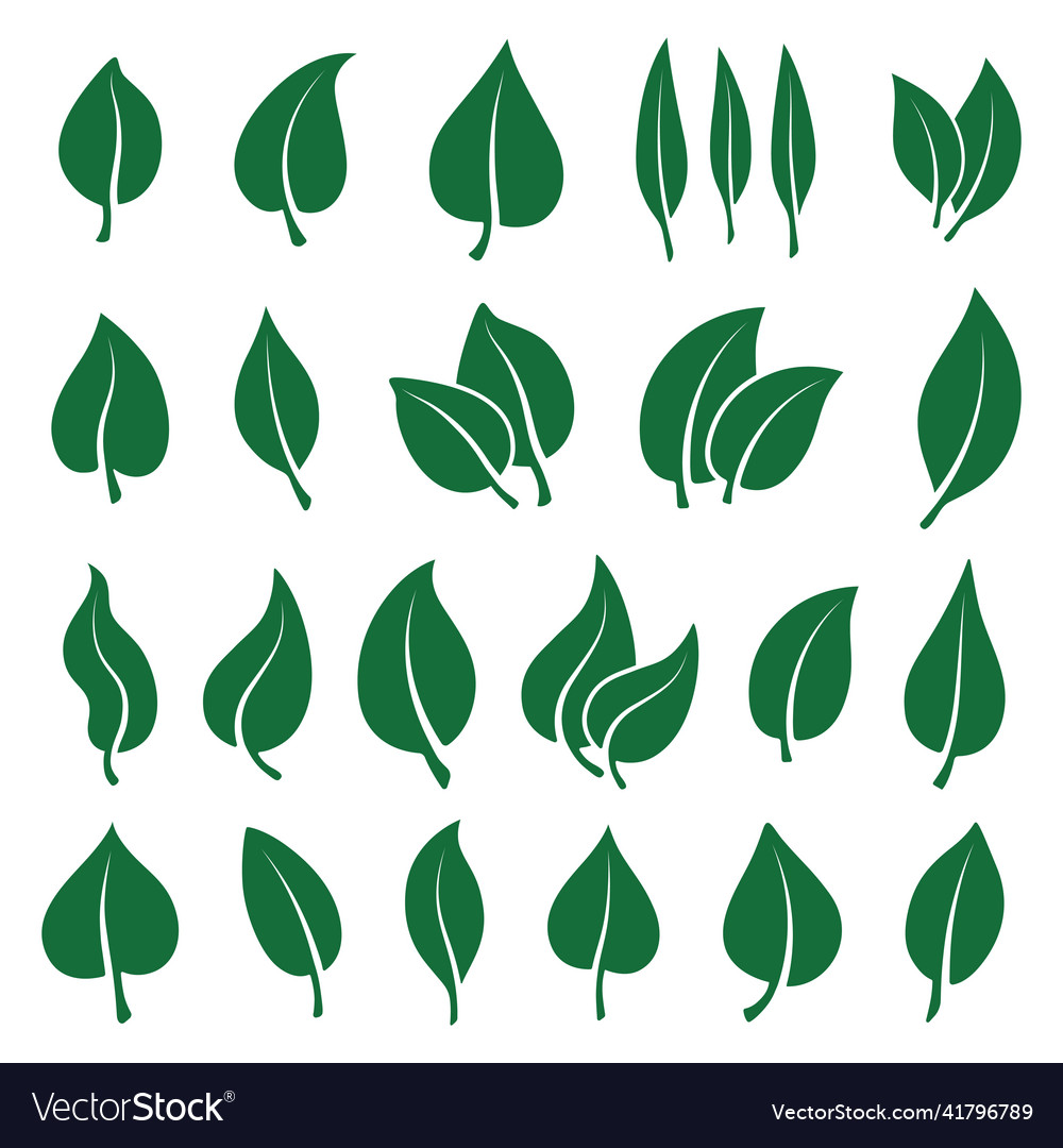 Set of Isolated Leaf Icons