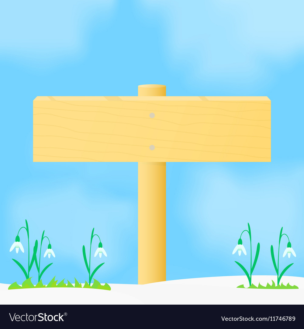 Wooden pointer spring