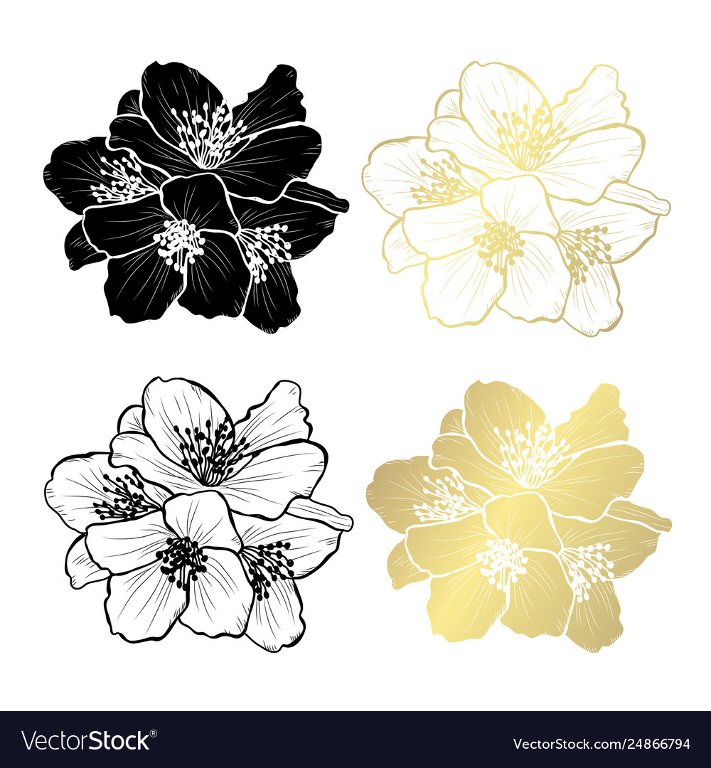 Golden floral decoration vector image Golden floral decoration