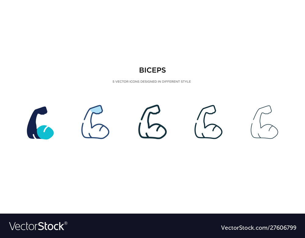 Biceps icon in different style two colored Vector Image Biceps icon in different style two colored