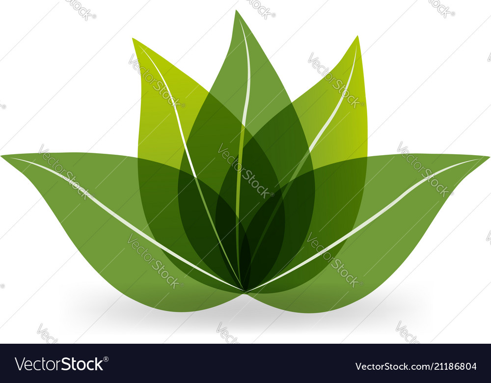 Green leaf lotus icon