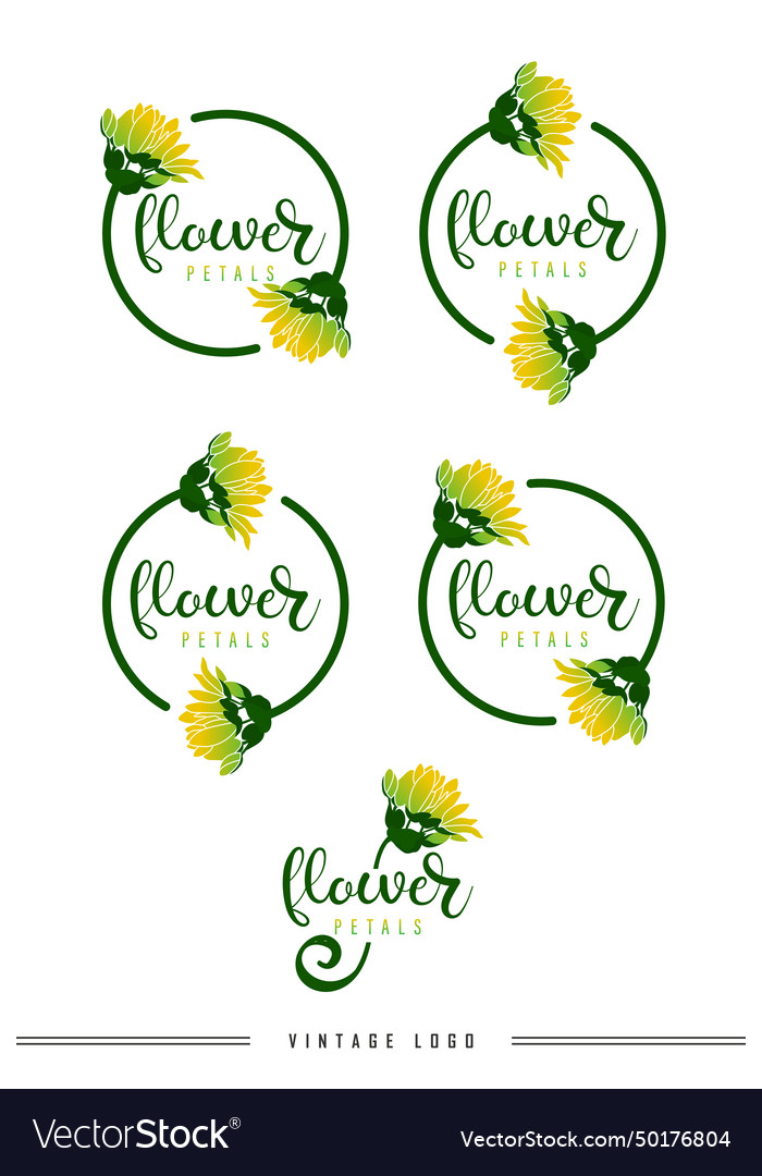 Laurels frames branches with circle borders Vector Image Laurels frames branches with circle borders