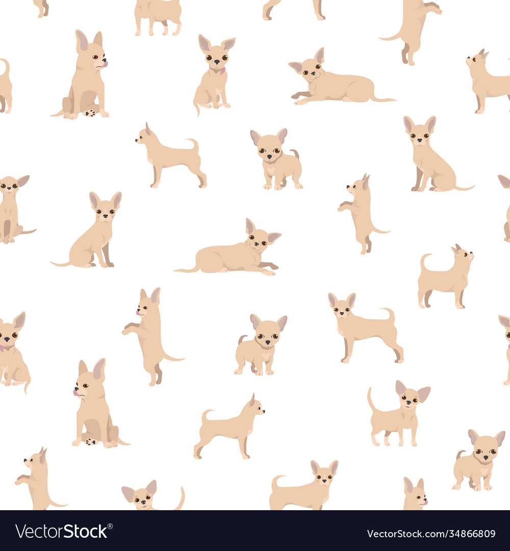 Chihuahua seamless pattern dog healthy silhouette vector image Chihuahua seamless pattern dog healthy silhouette
