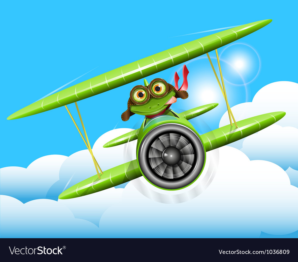 Frog Pilot in Airplane