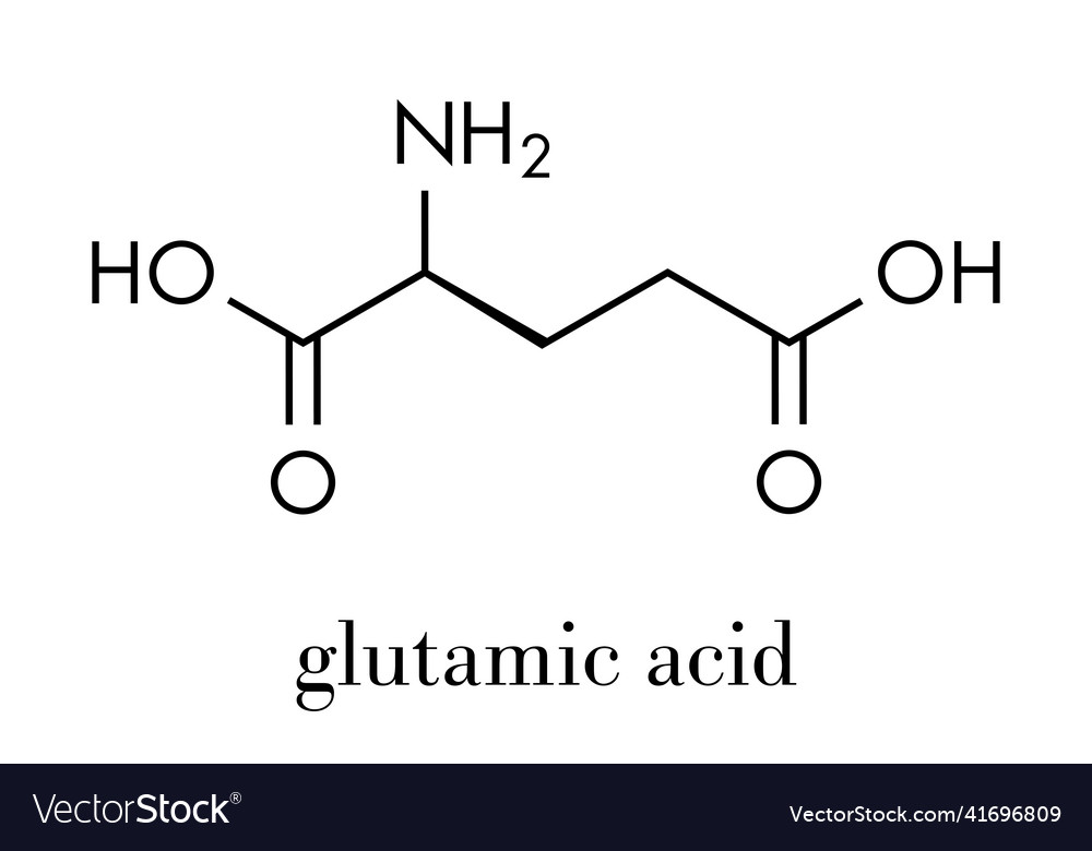 Glutamic acid l-glutamic acid glu e amino acid Vector Image