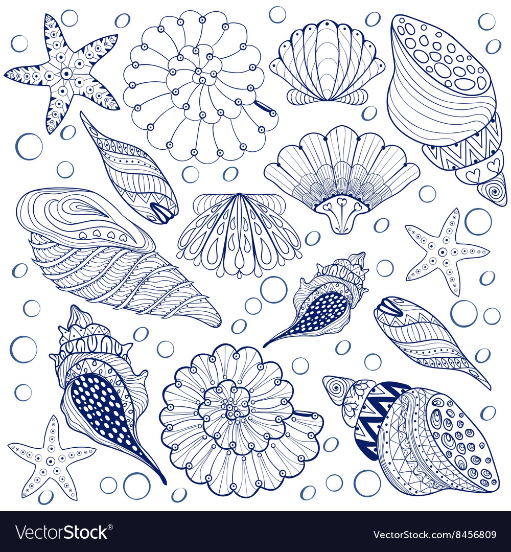 Set shells entangle blue seashells