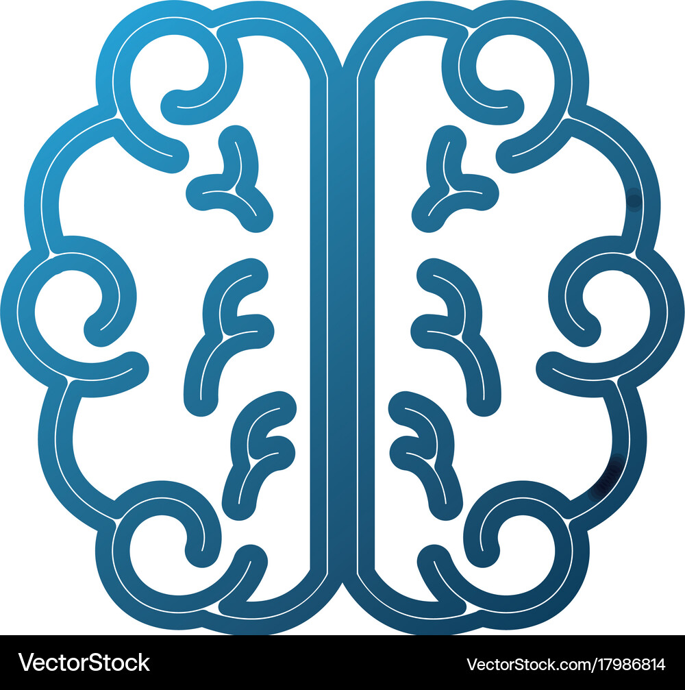 Brain school knowledge thinking science study Vector Image