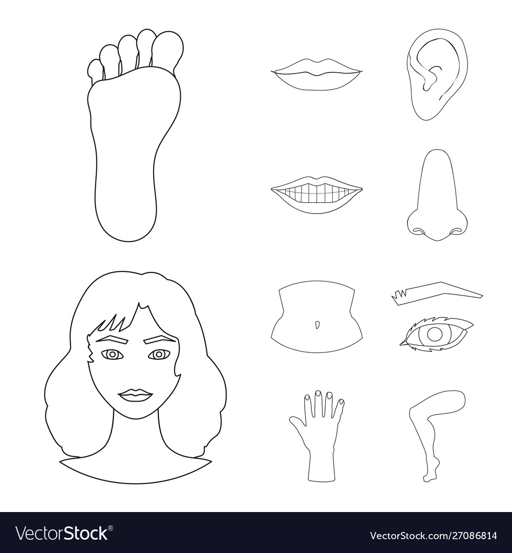 Design body and part icon set Royalty Free Vector Image