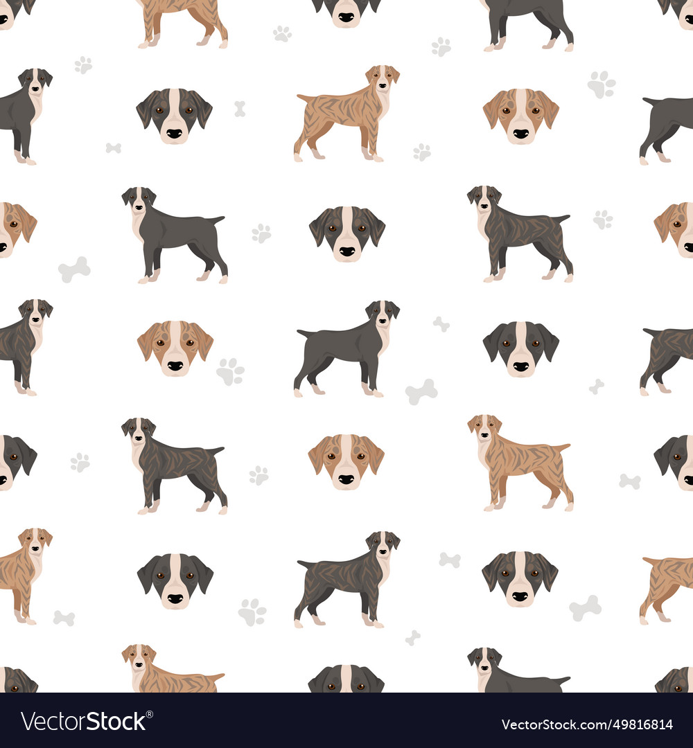 Treeing cur seamless pattern all coat colors set