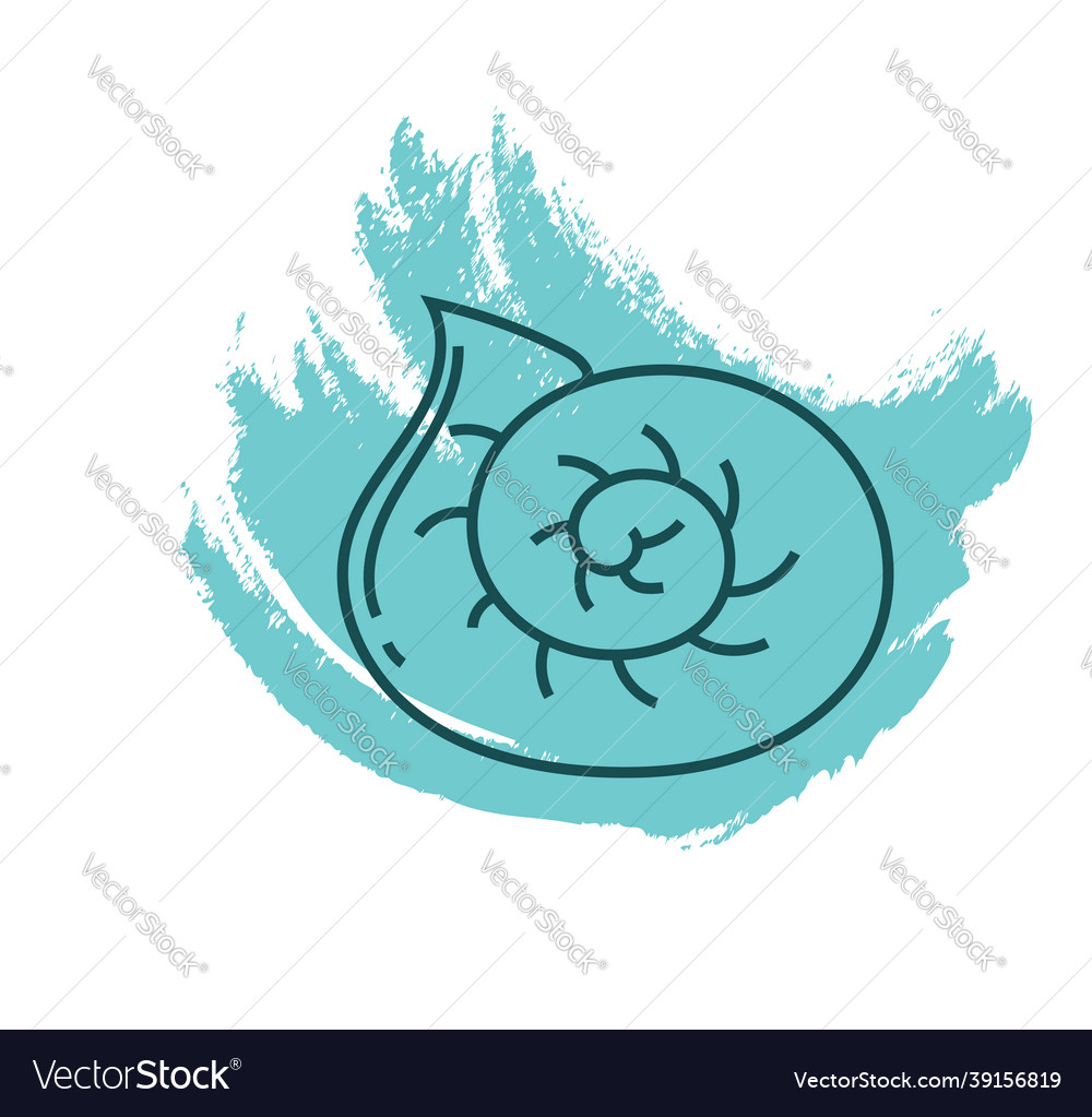 Chestnut turban snail seashell icon on white