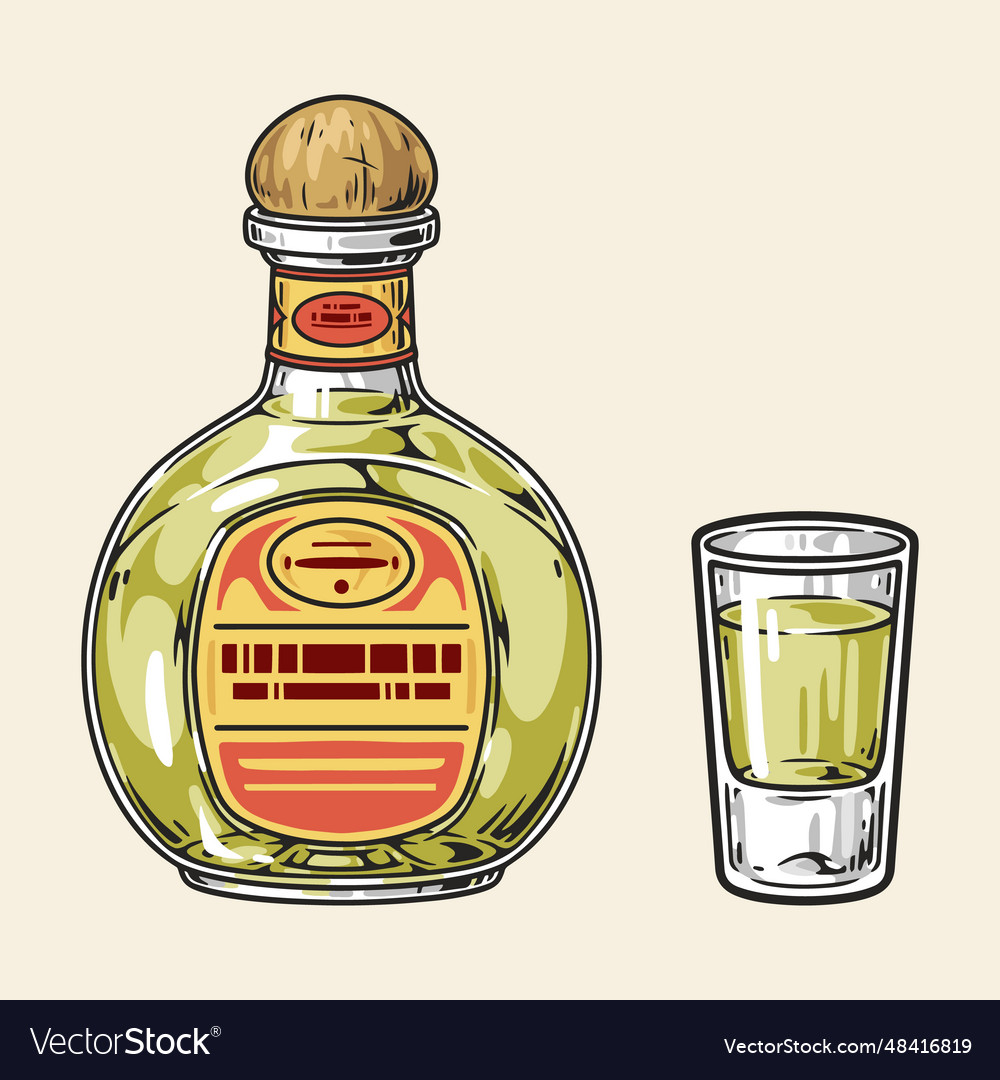Tequila drink detailed sticker colorful vector image Tequila drink detailed sticker colorful