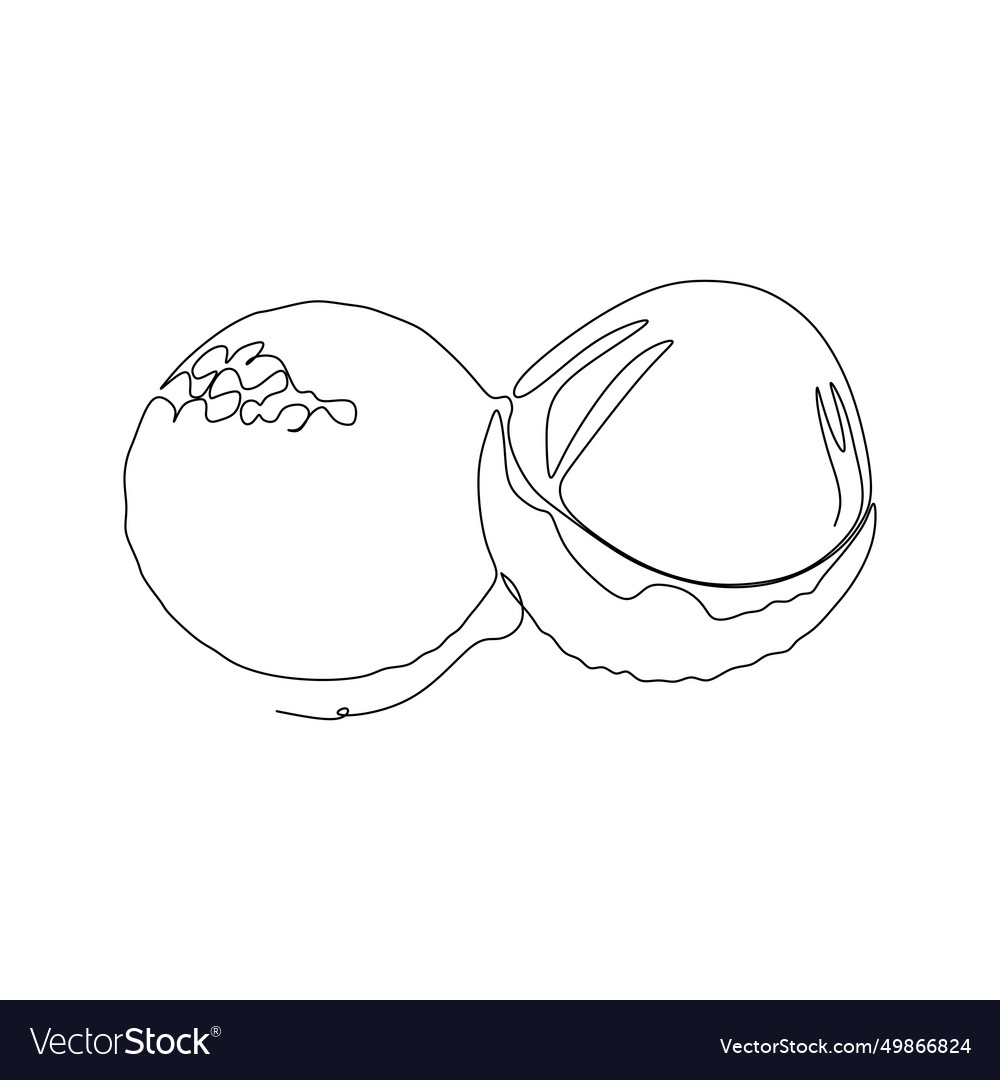 Continuous one simple single abstract line Vector Image Continuous one simple single abstract line