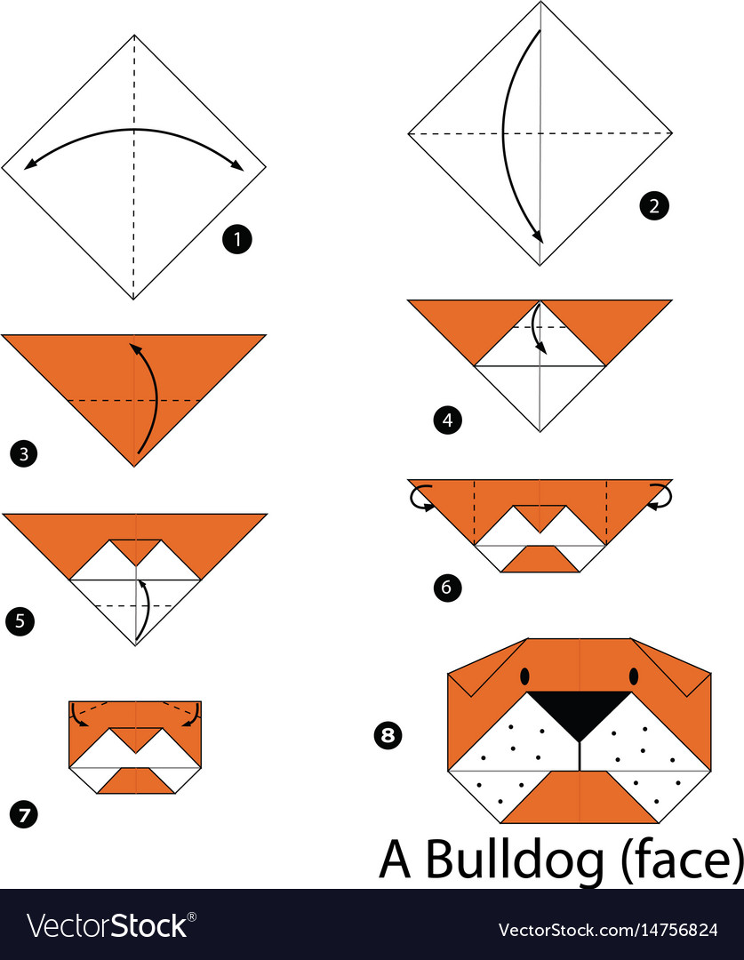 Step by step instructions how to make origami Vector Image