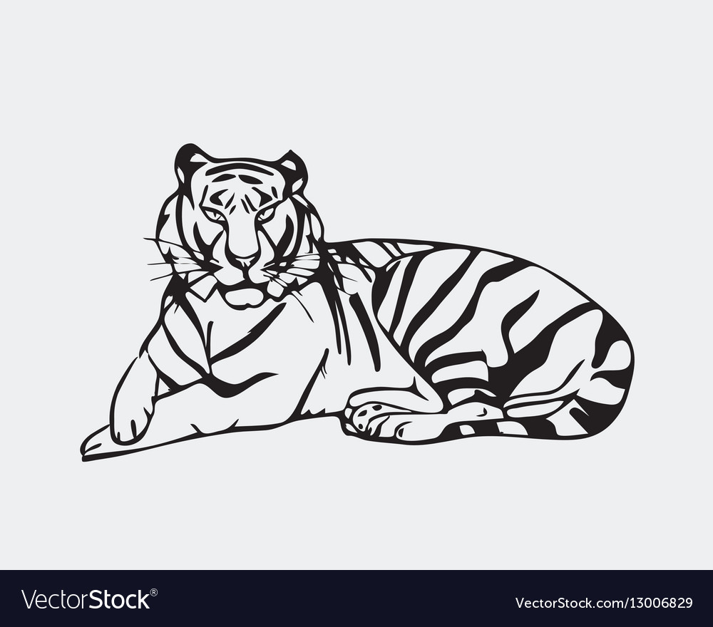 Hand-drawn pencil graphics tiger head engraving