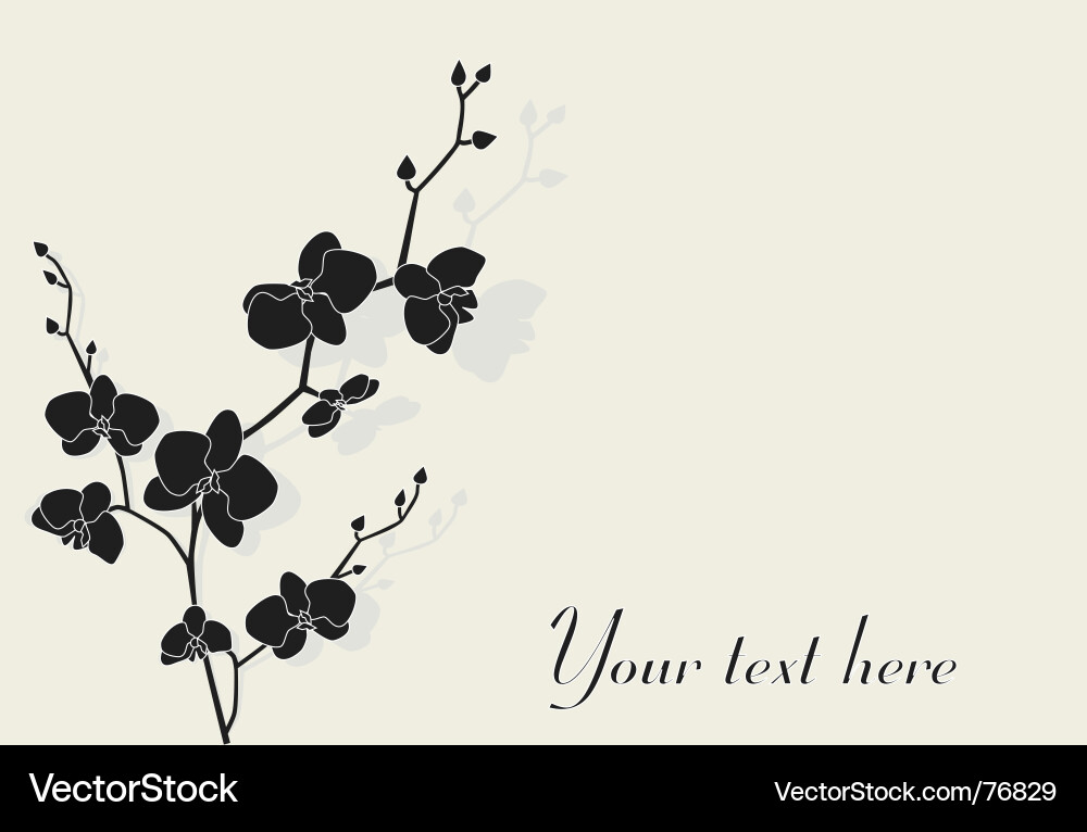 Orchid Royalty Free Vector Image - VectorStock