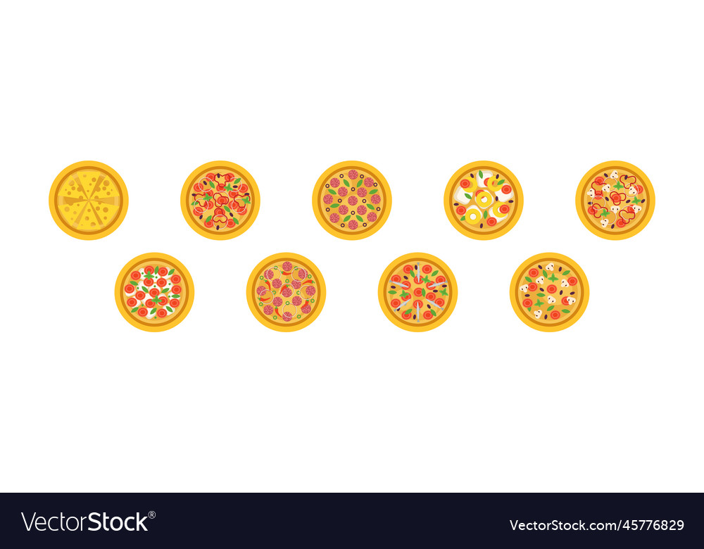Pizza with different toppings above view vector image Pizza with different toppings above view