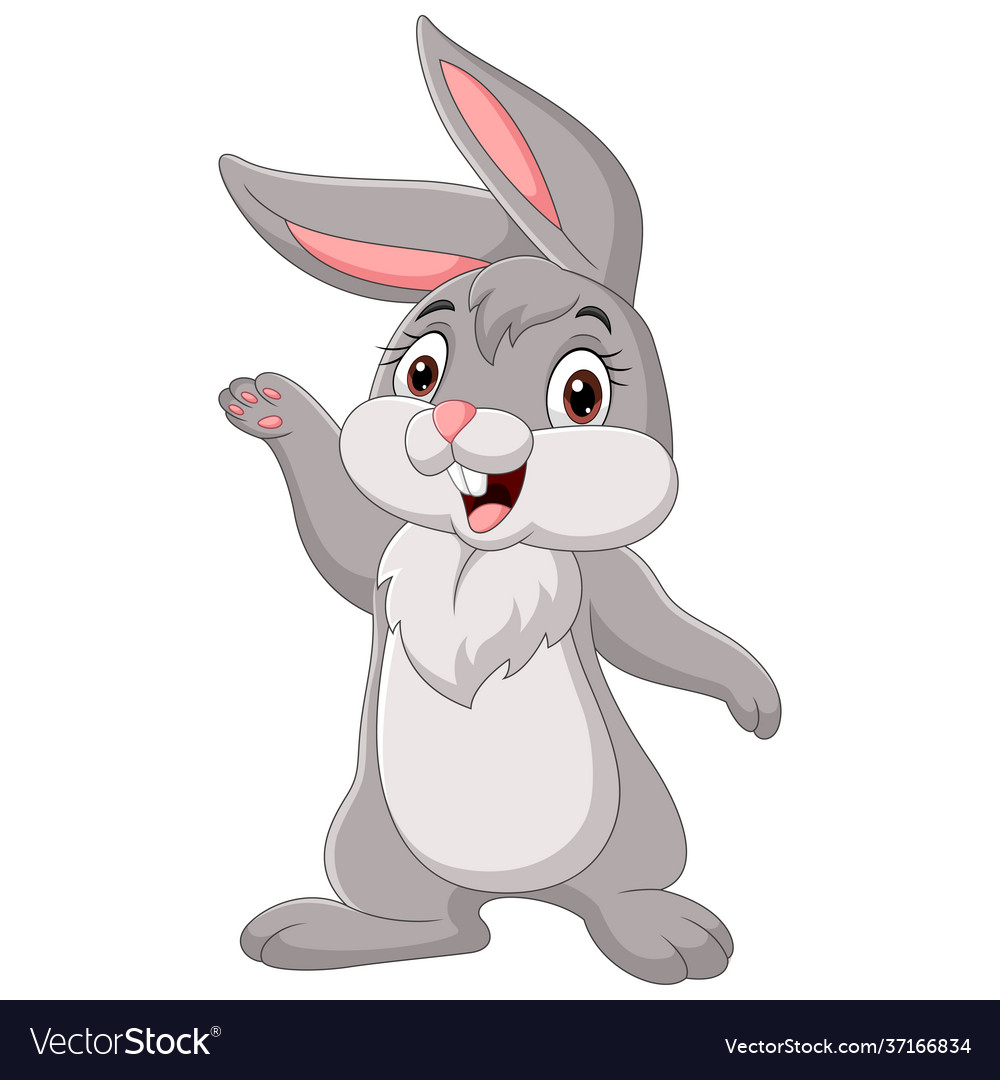 Cartoon funny rabbit on white background Vector Image