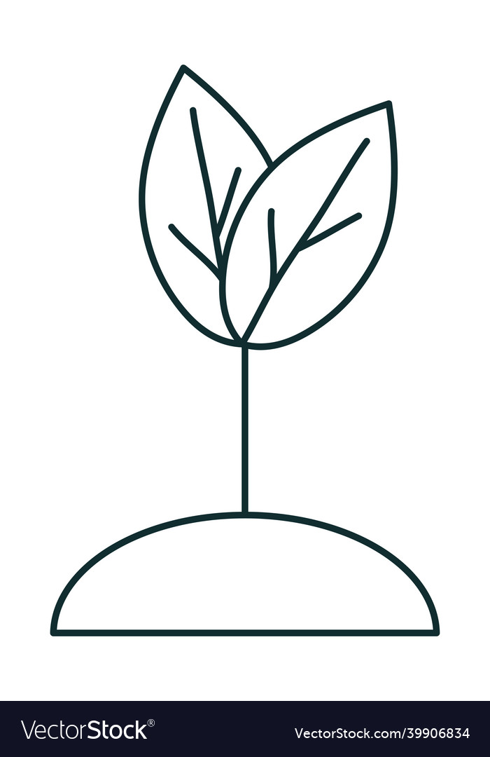 Growth plant design