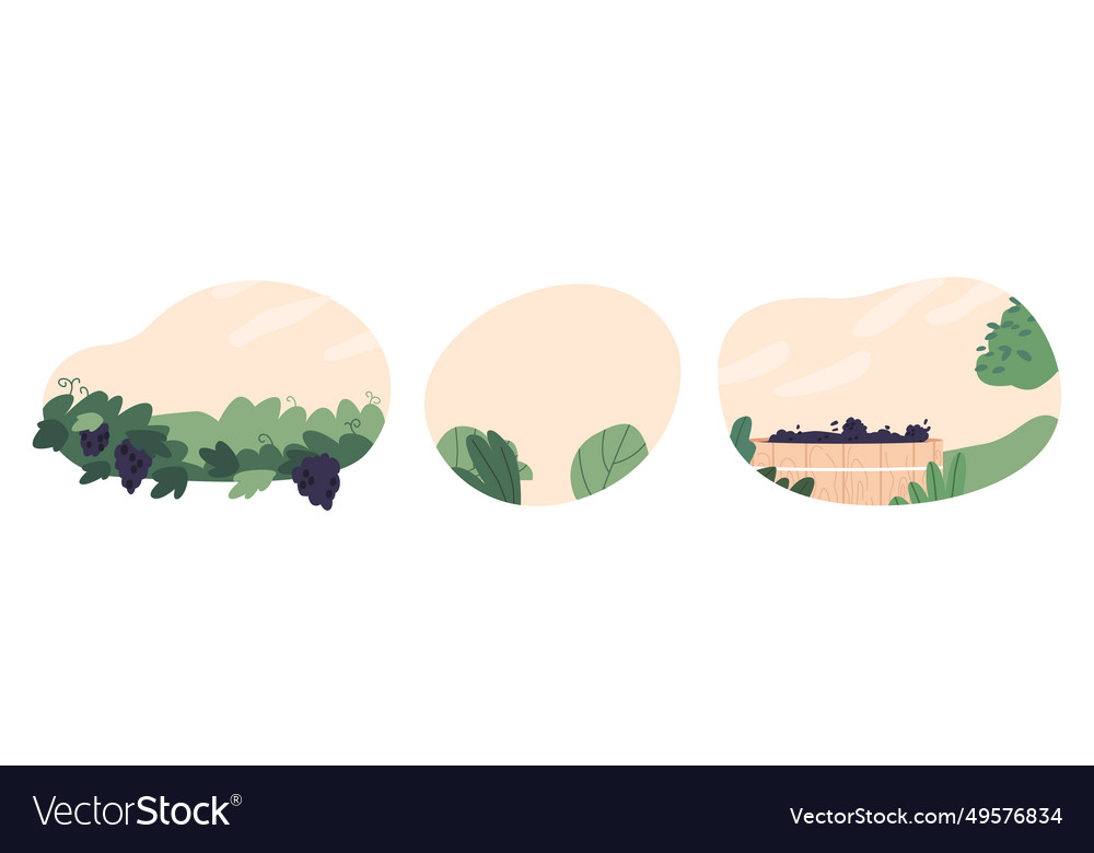 Rolling hills with neat rows of lush grapevines vector image Rolling hills with neat rows of lush grapevines