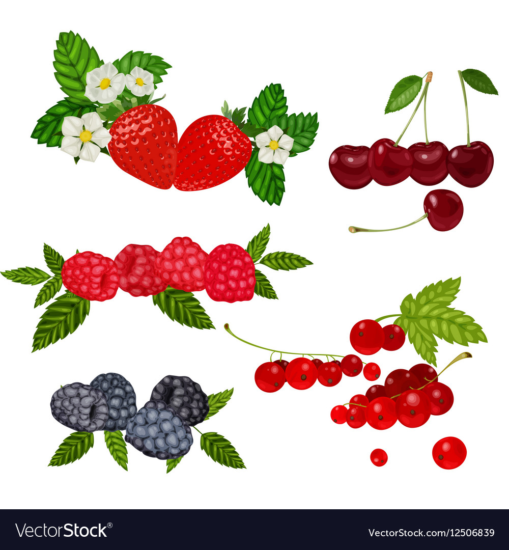 Erdbeeren-Set