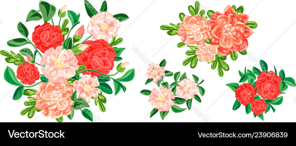 Camellia Banner Set Cartoon Style Royalty Free Vector Image