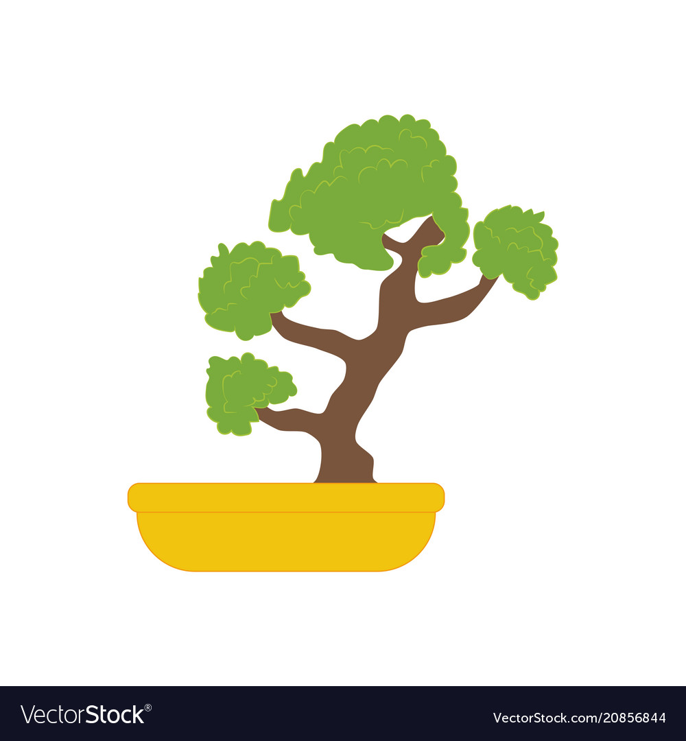 Bonsai tree Royalty Free Vector Image - VectorStock