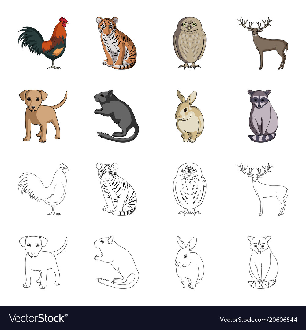 Puppy rodent rabbit and other animal species Vector Image Puppy rodent rabbit and other animal species Vector Image