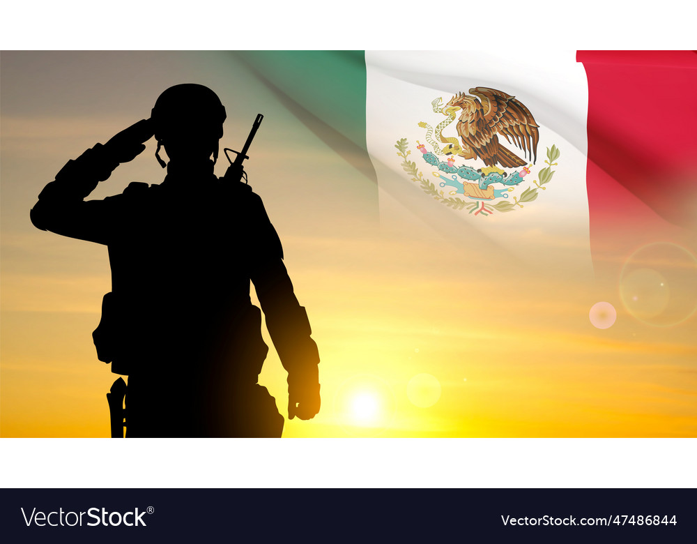 Silhouette of a soldier with mexico flag