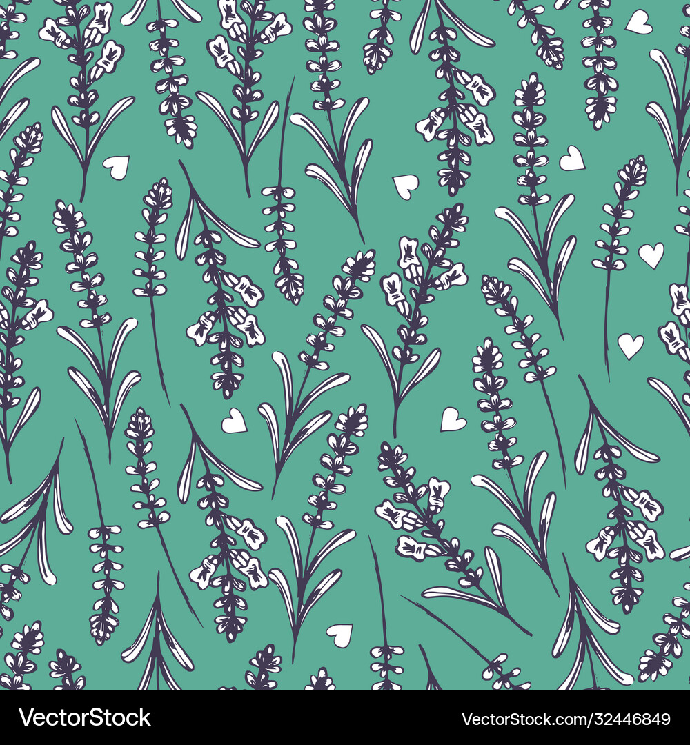 Hand drawn seamless pattern with lavender Vector Image