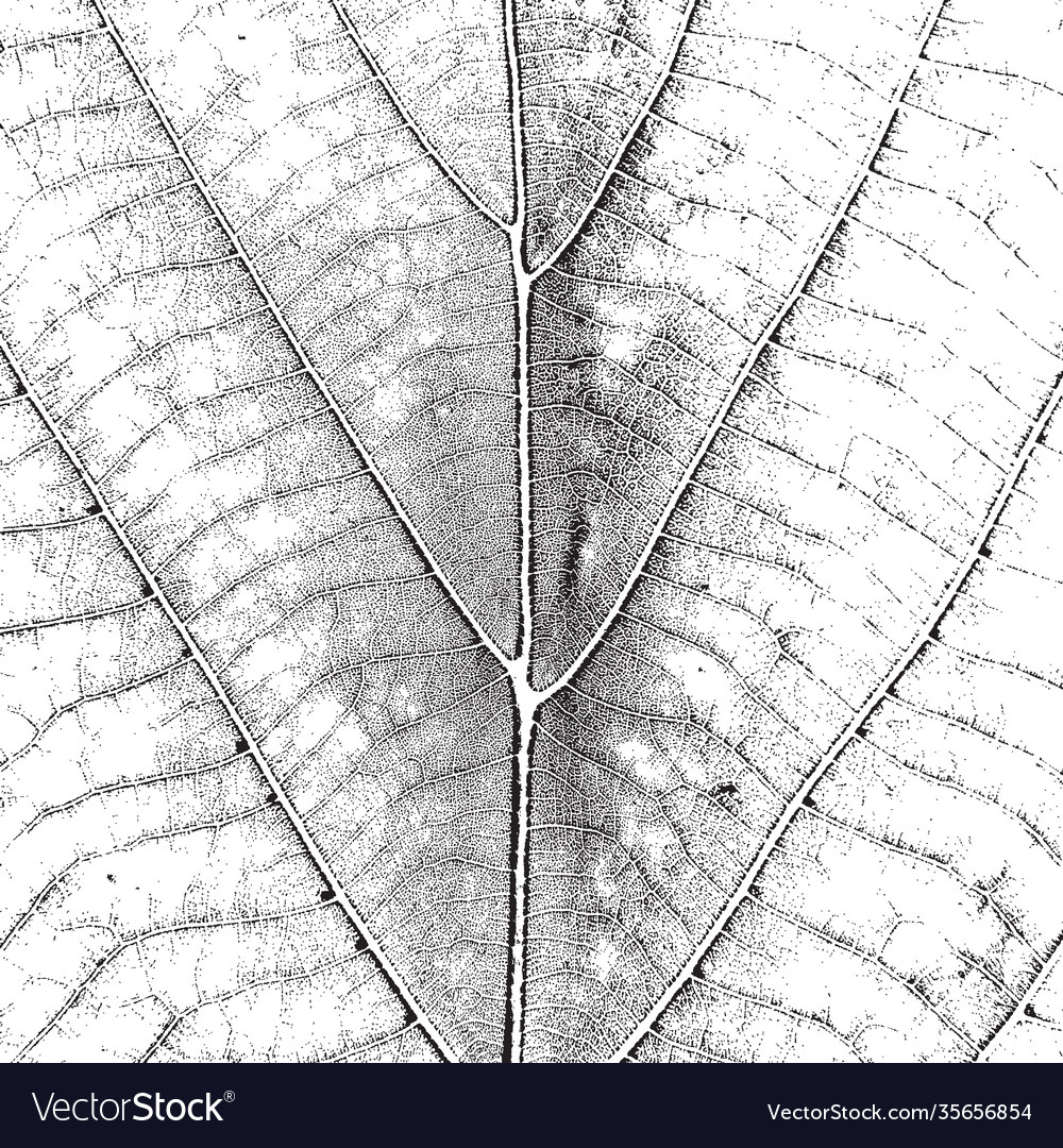 Leaf overlay texture vector image Leaf overlay texture