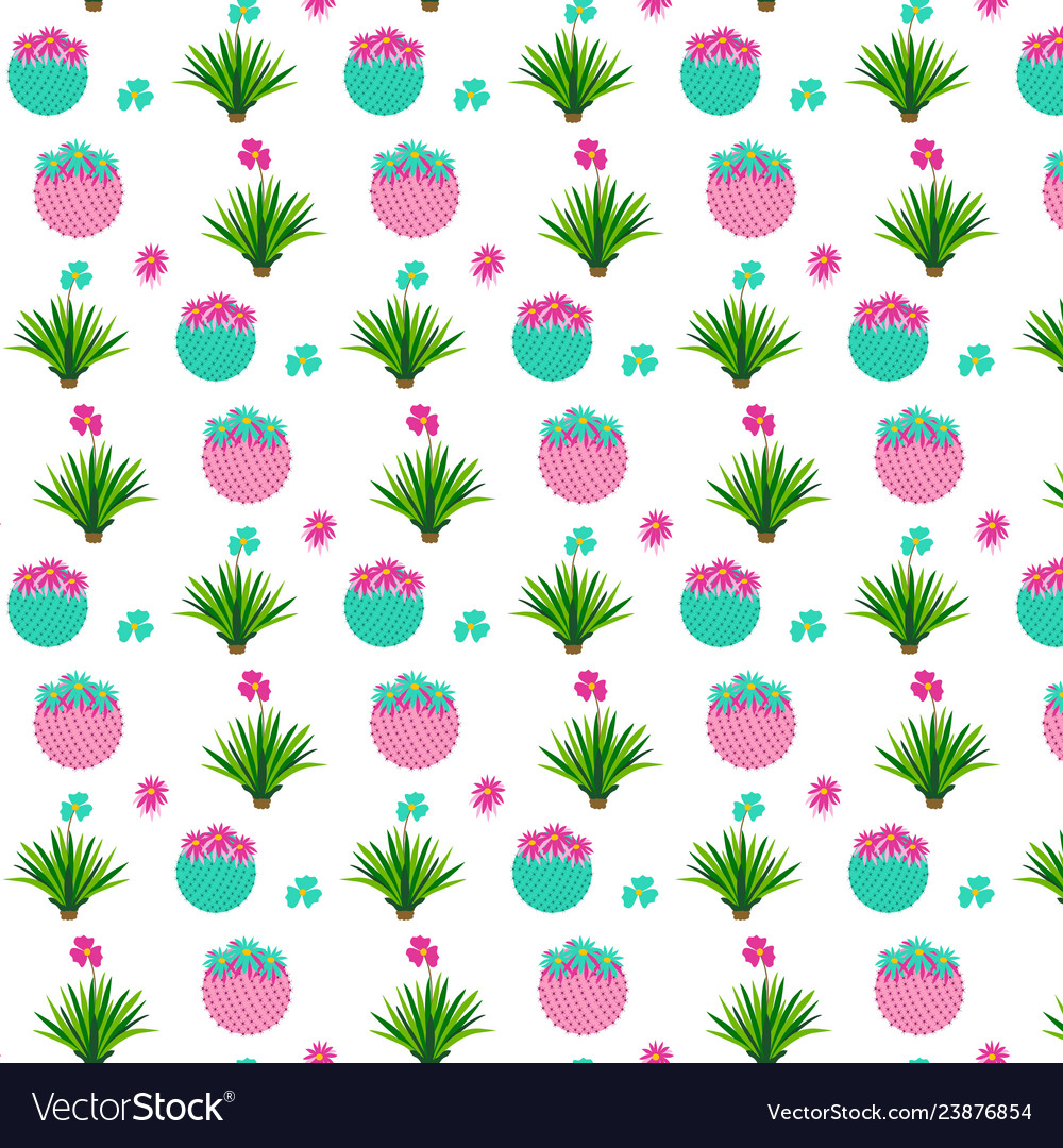 Seamless pattern with cactus
