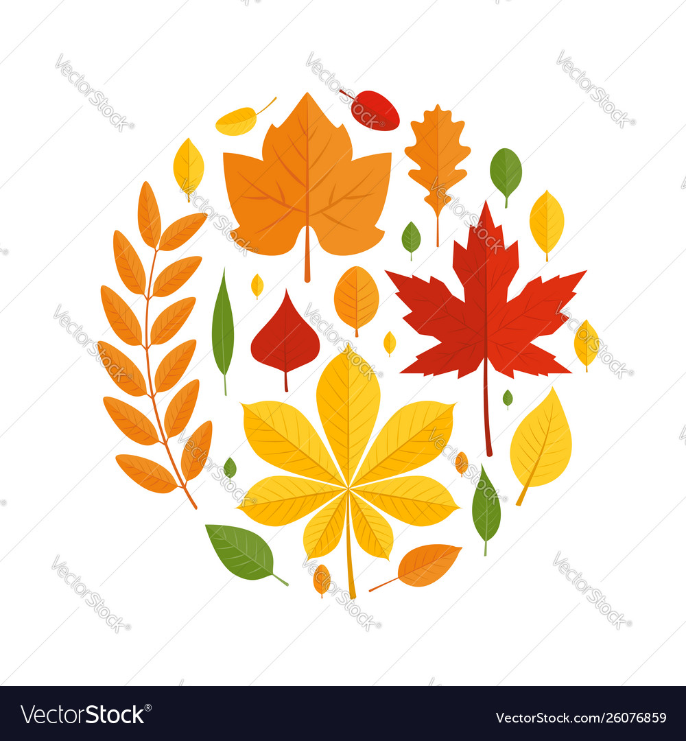 Colorful leaves in flat style round design