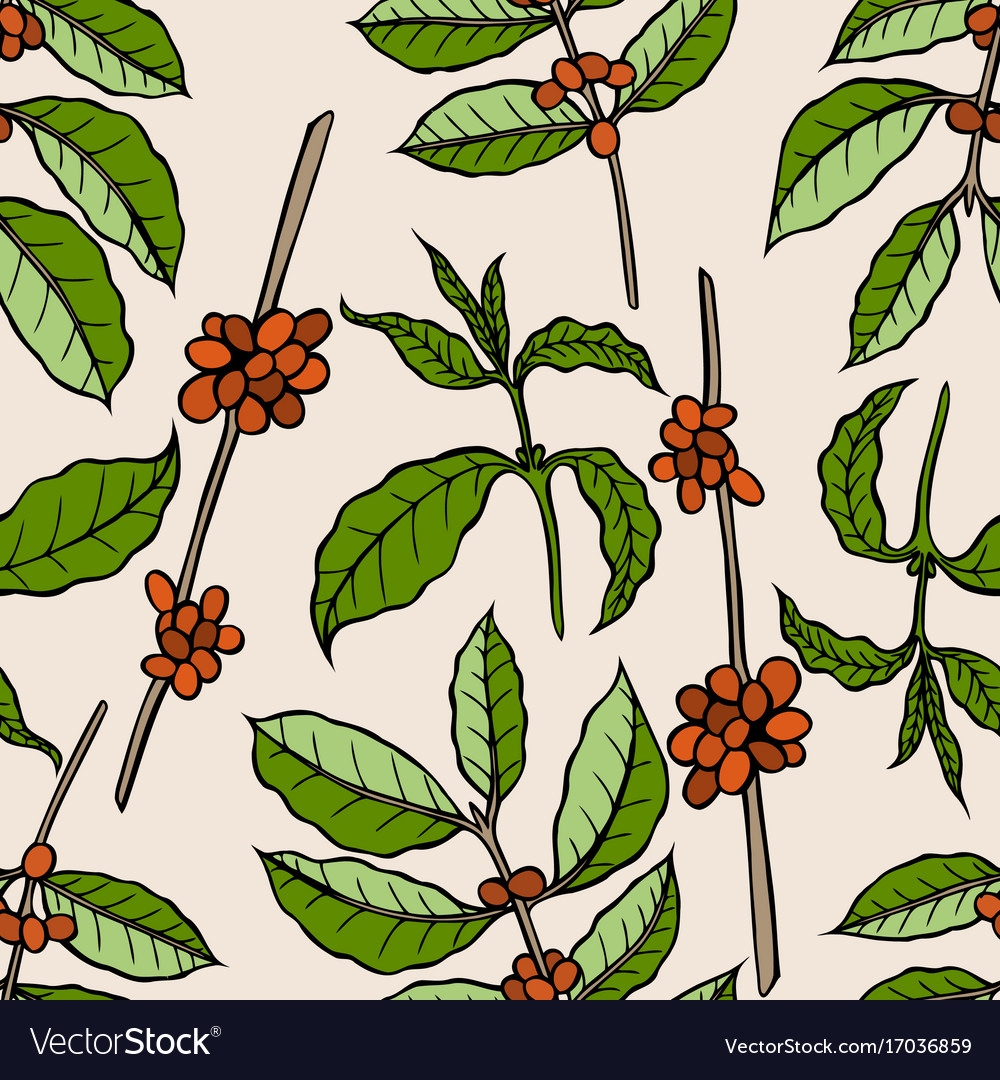 Seamless pattern of cocoa beans